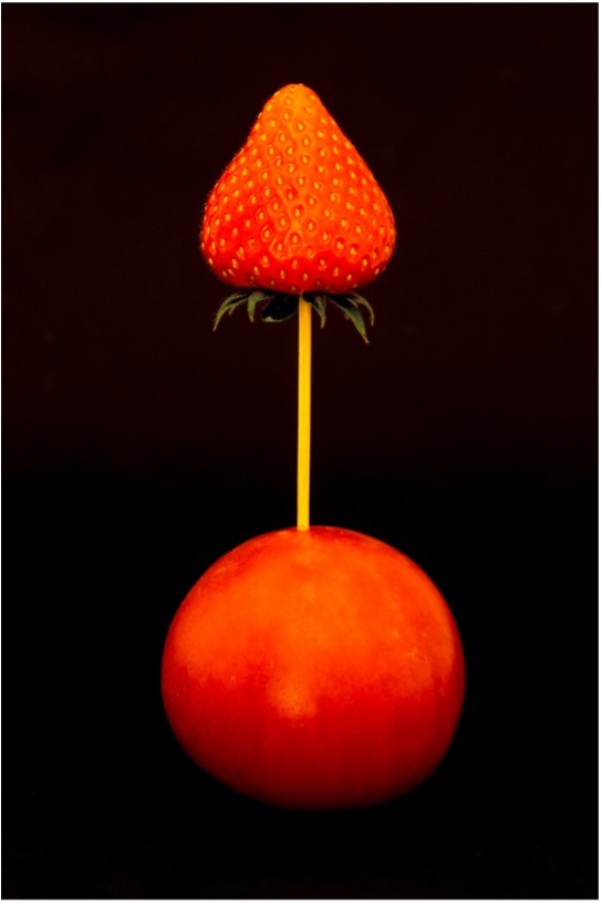 Zen.nl, Zen, meditatie, leren mediteren, Rients Ranzen Ritskes, zenmeester, Freud, surrealisme, koan, realiteit, inspiratie, angsten, verlangens, onderbewuste, weerstand, Dali, droom, perspectief